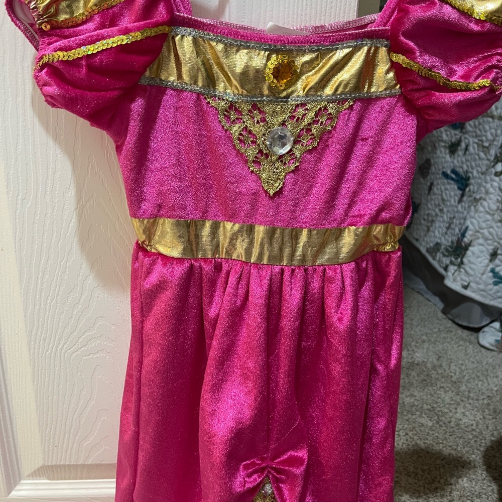 Sparkling Pink and Gold Kids Costume
